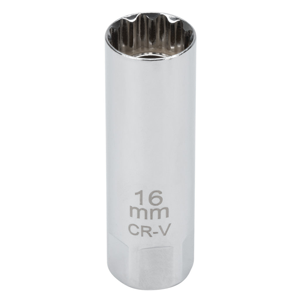 C28232- Primary