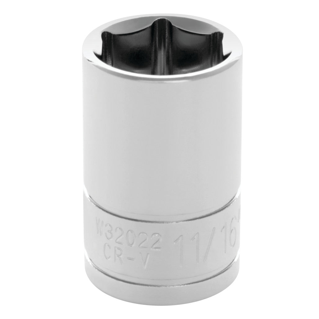 W32022- Primary