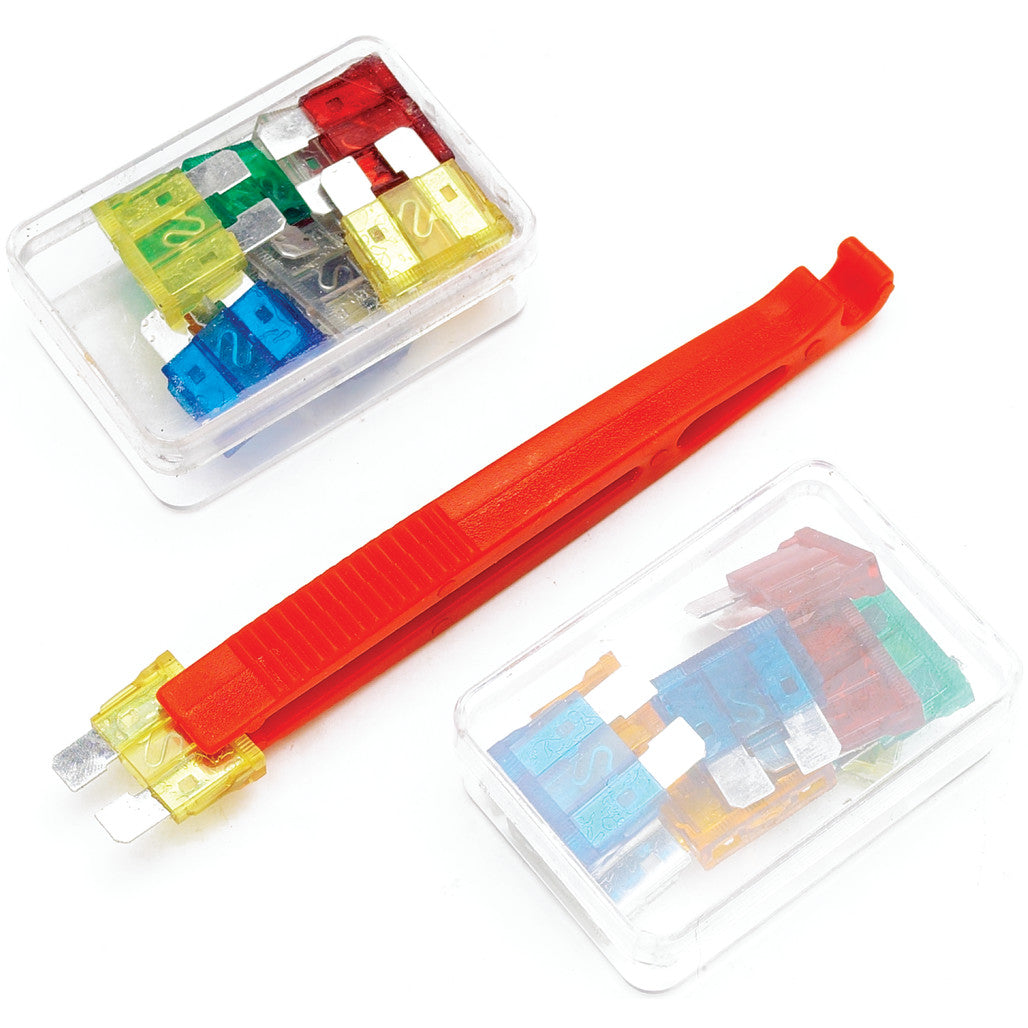 1488- Primary