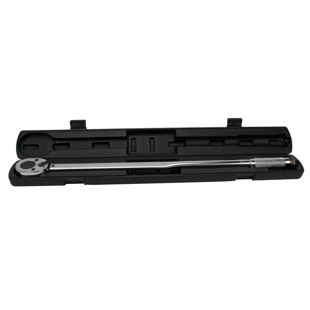 M203- Primary