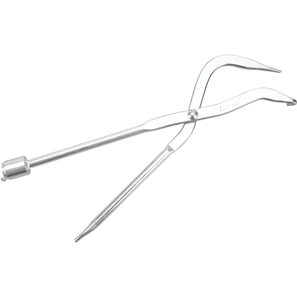 W175- Primary