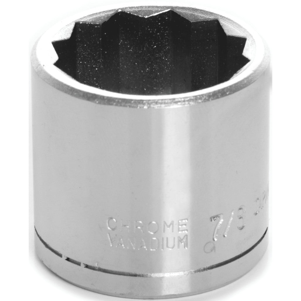 W38528- Primary