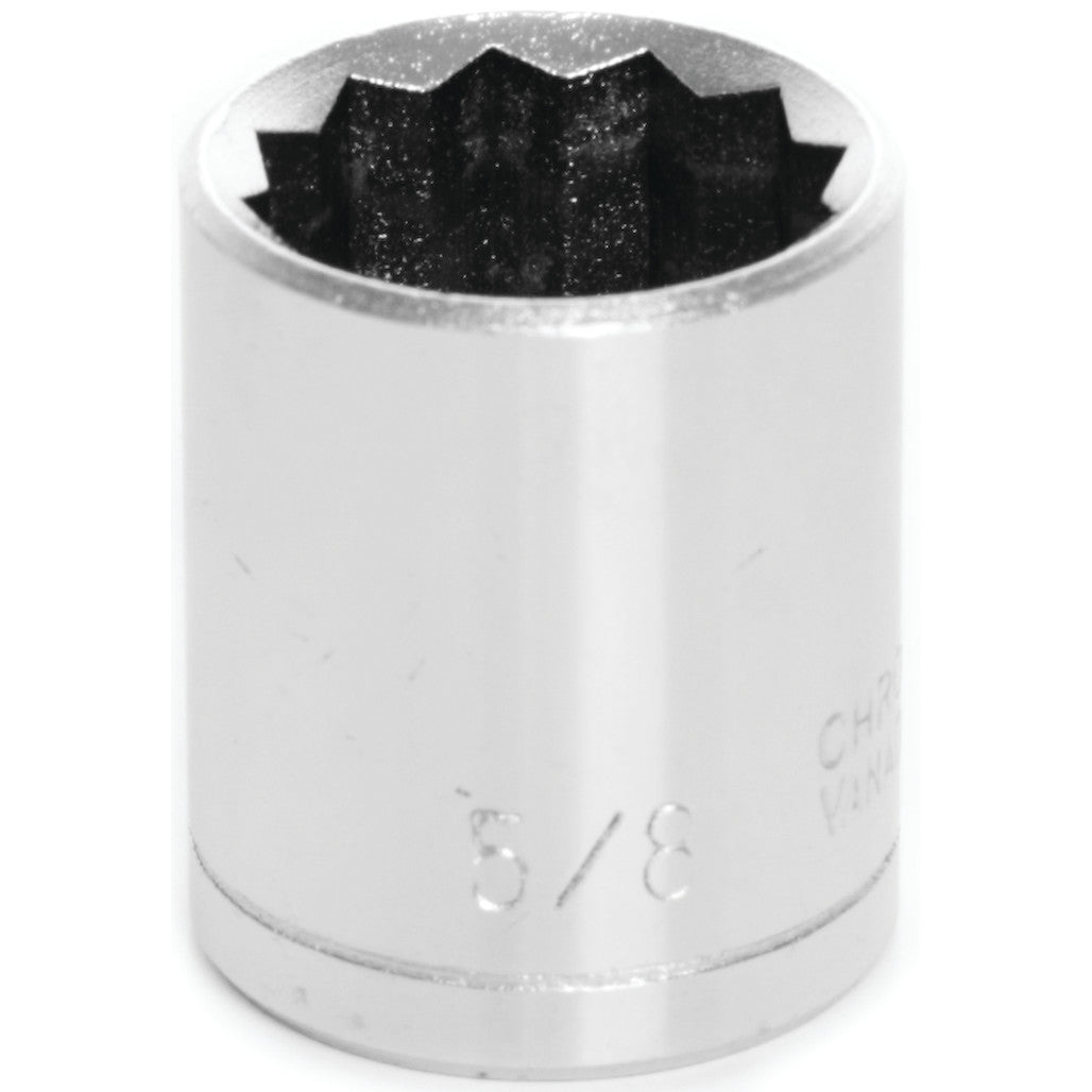 W38520- Primary