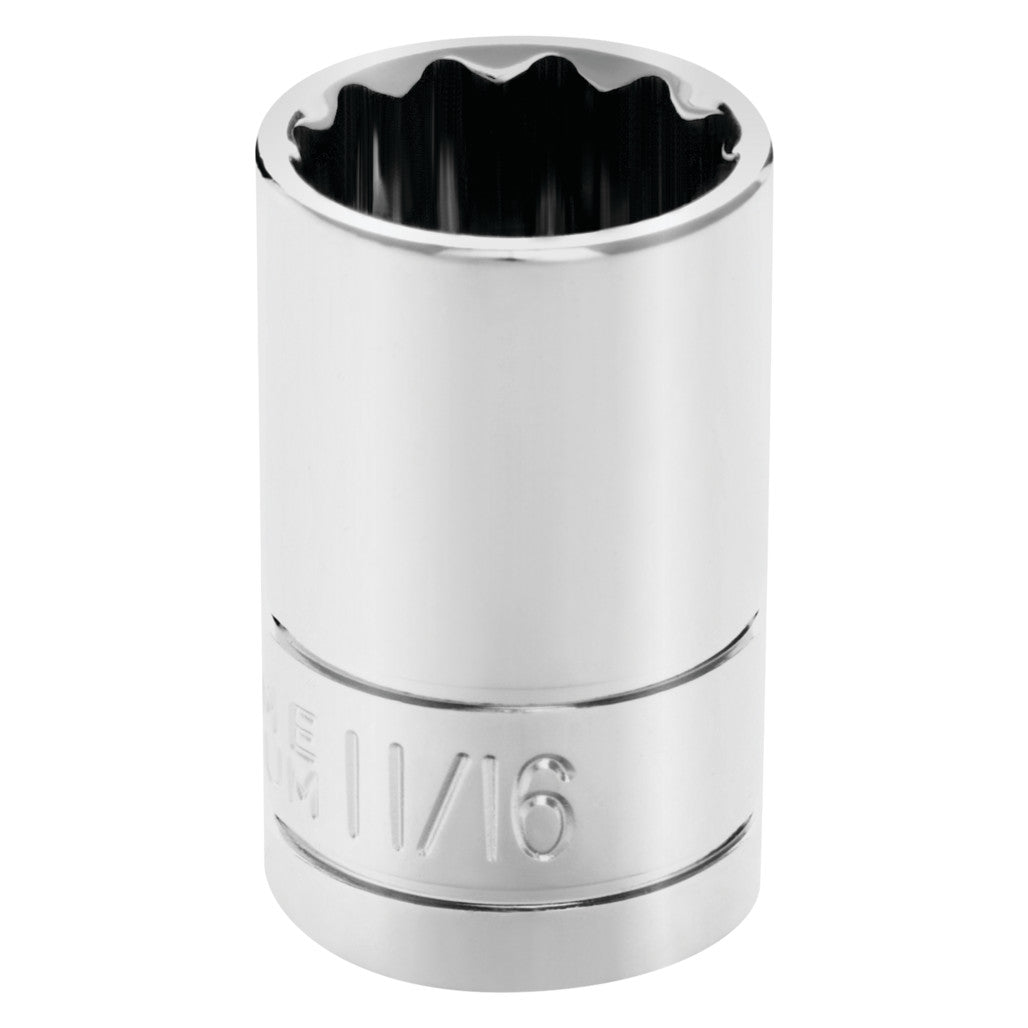 W32522- Primary