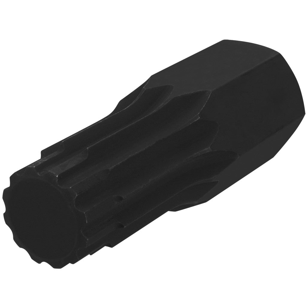 C28215- Primary