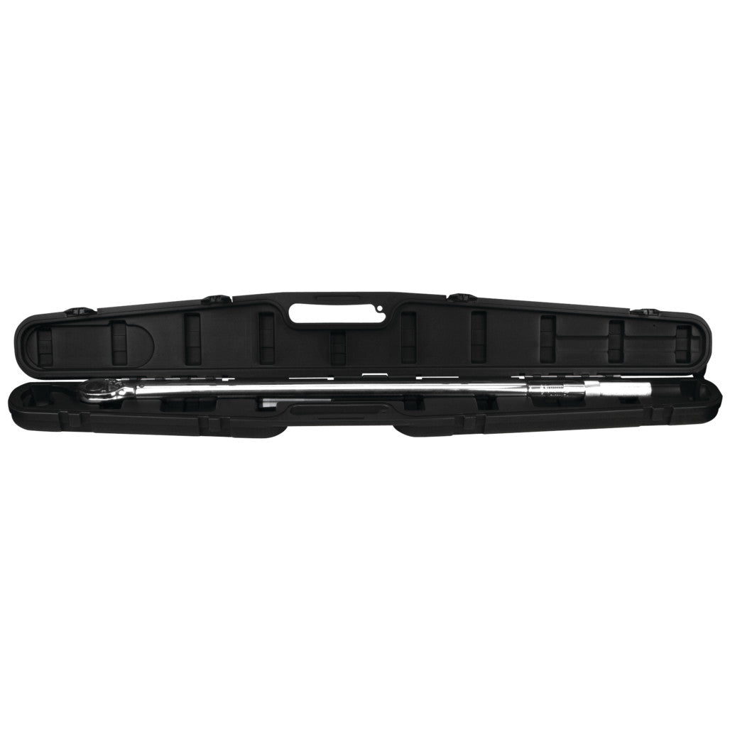 M204- Primary