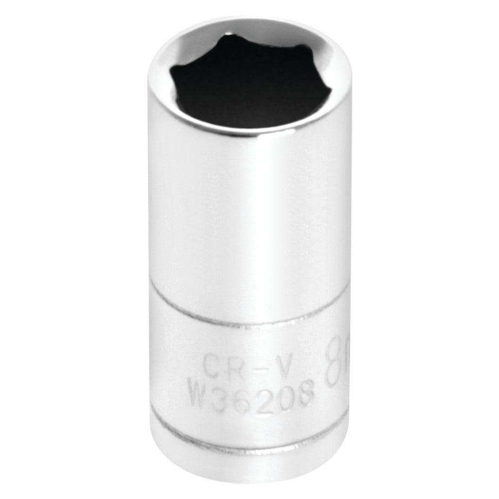 W36208- Primary