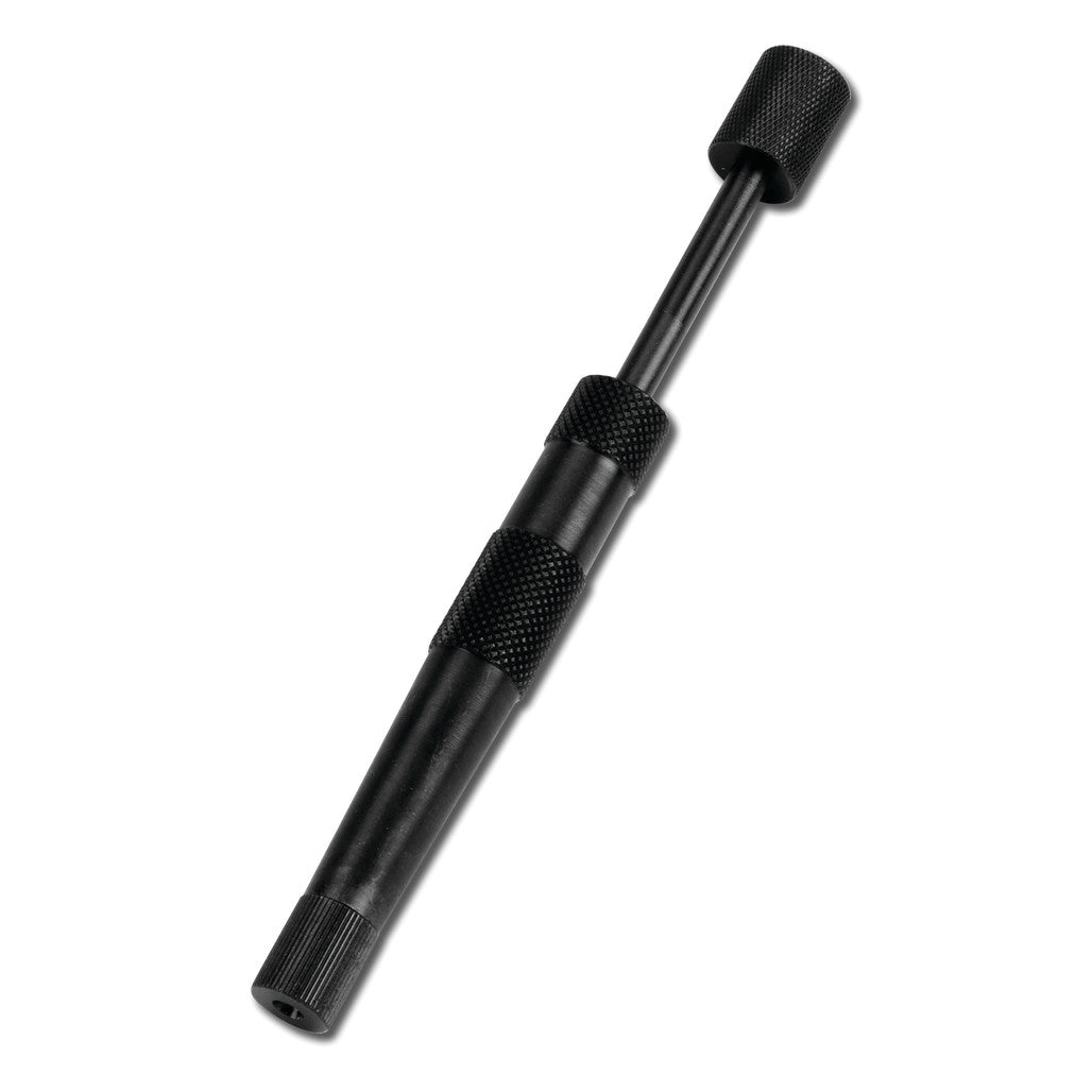 W54209- Primary