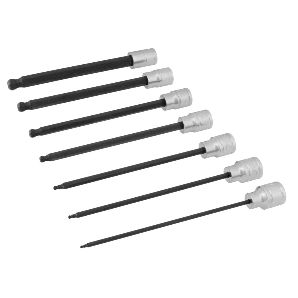 W38751- Primary