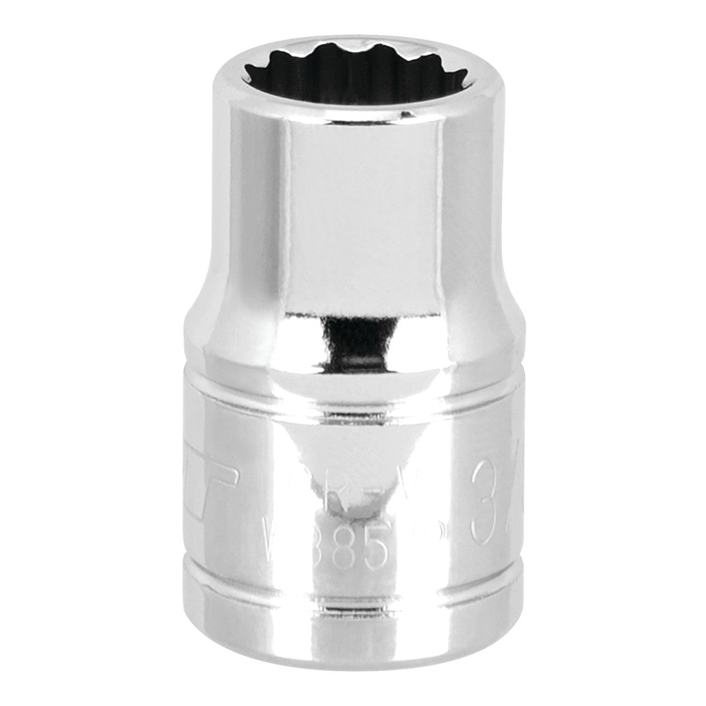 W38512- Primary