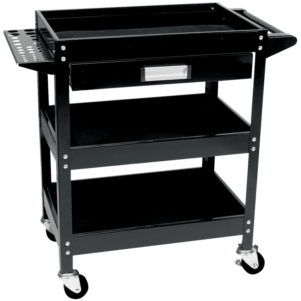 W54006- Primary