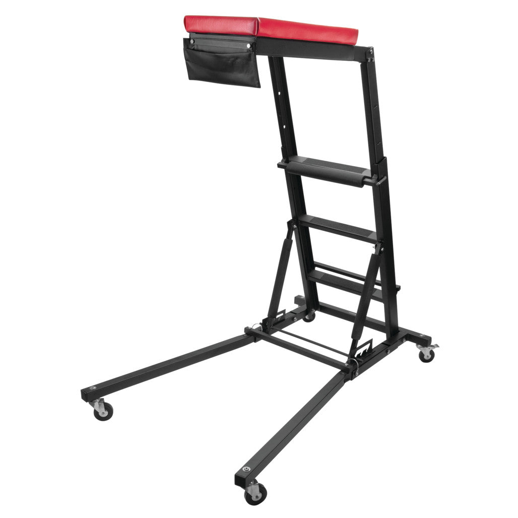 W85038- Primary