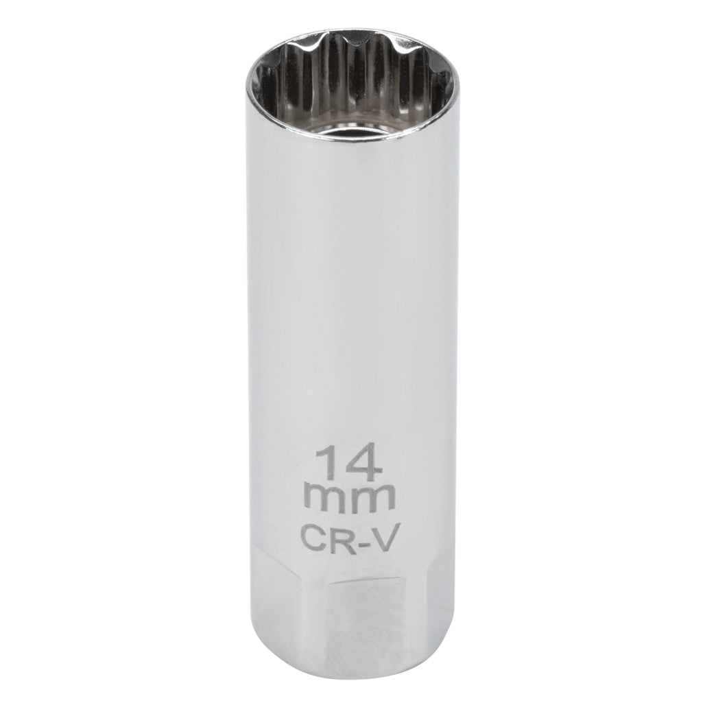 C28231- Primary