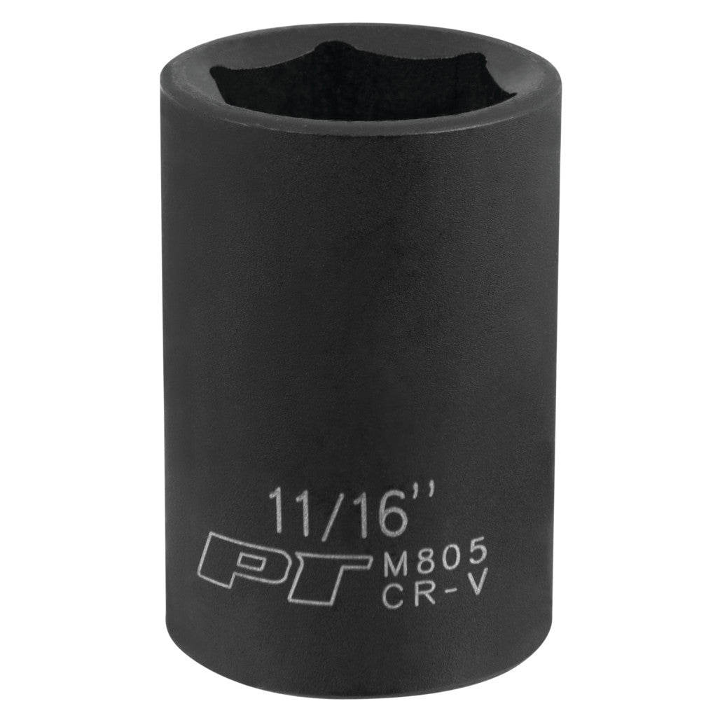 M805- Primary