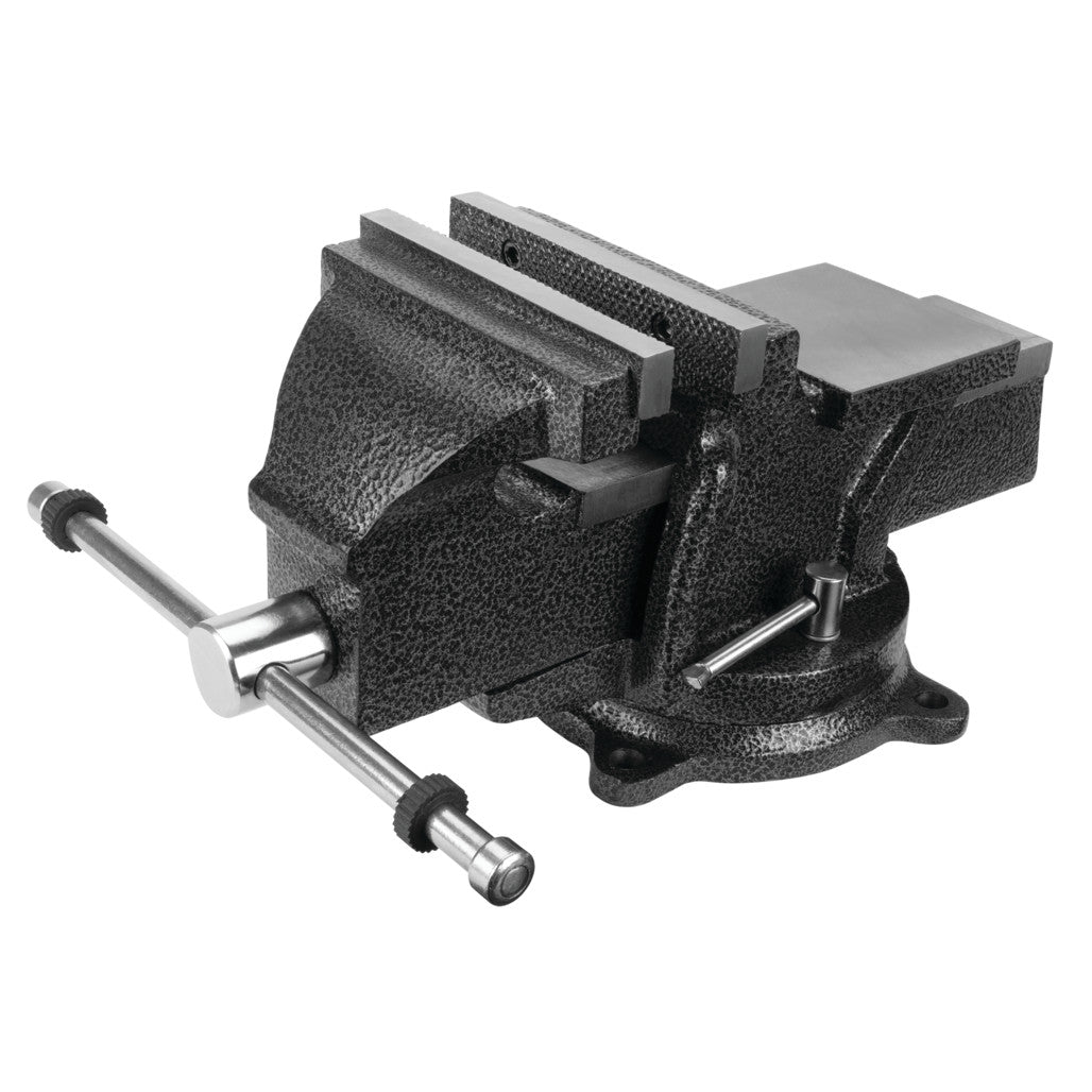 MV6- Primary