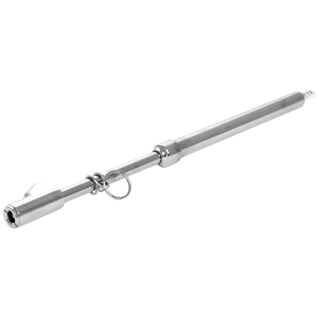 60307- Primary
